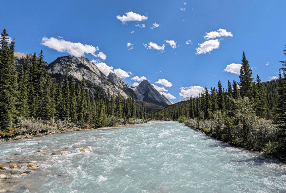 A blue river runs through a forested valley. In the background, tall mountains rise from the valley floor.