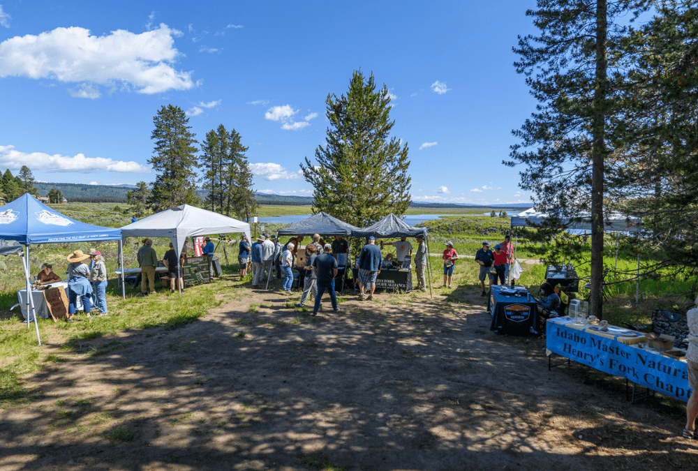 People gather for a festival. Information booths surround a clearing in the forest.