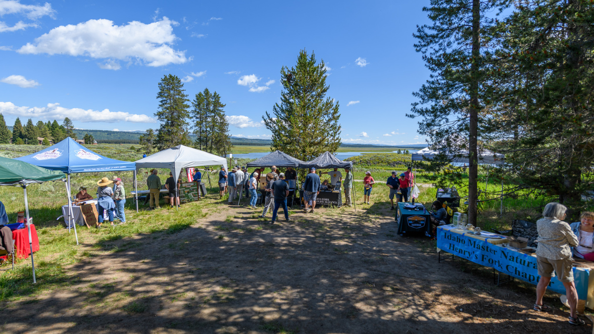 People gather for a festival. Information booths surround a clearing in the forest.