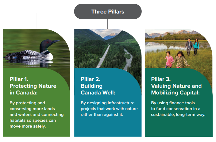 Graphic showing the three pillars of Canada's 2026 nature strategy