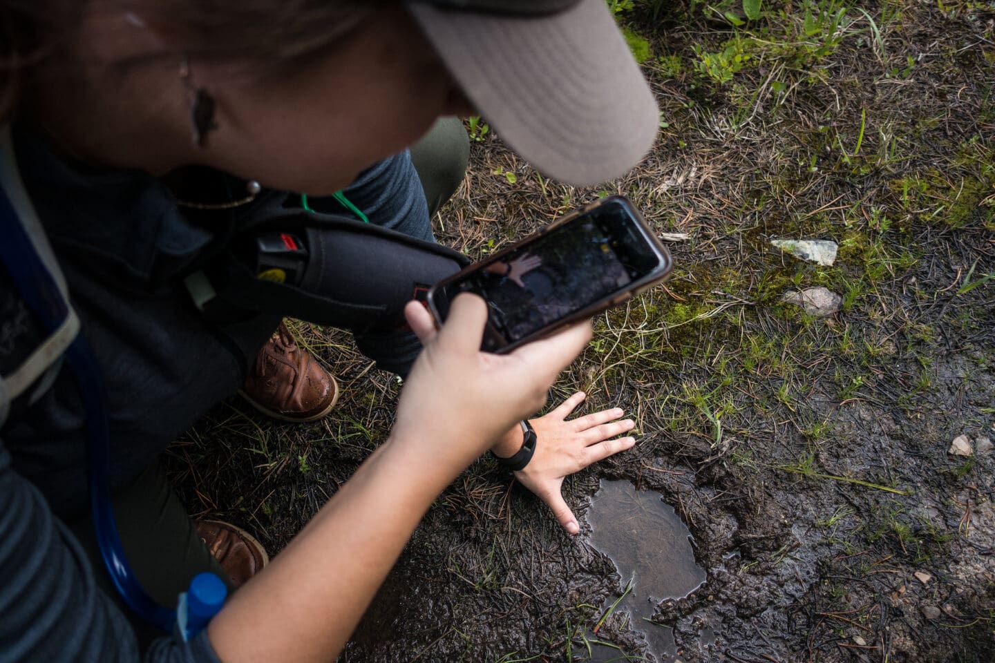 A person holds their hand up to a grizzly bear track in the mud while taking a photo with their cell phone