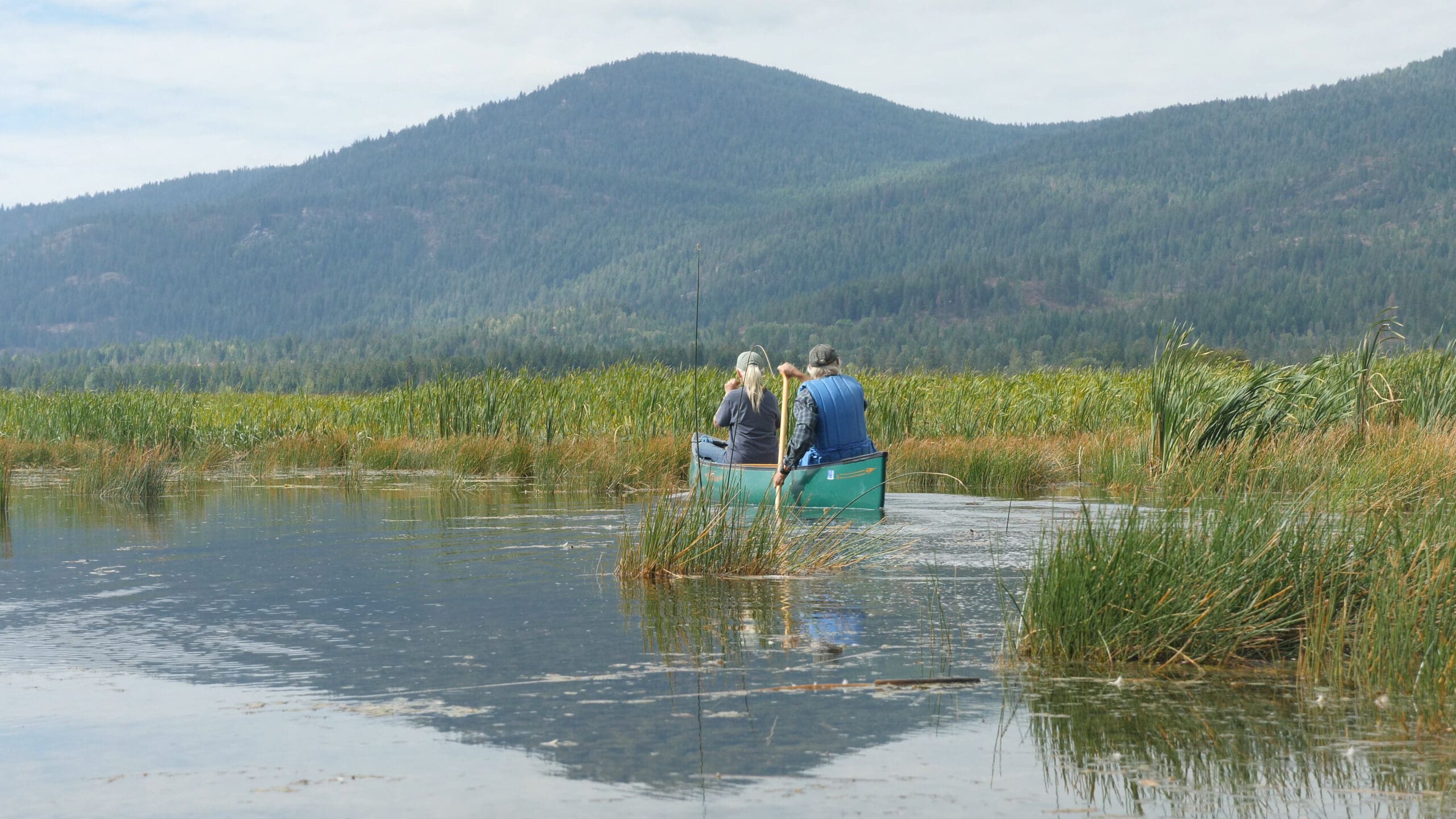 People collect native seeds from a wetland in a canoe